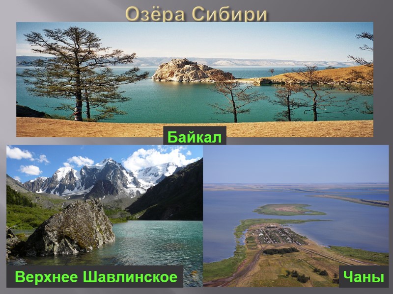 Озёра Сибири Байкал Чаны  Верхнее Шавлинское